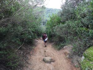 bosque encantado de orrius|El Bosque Encantado de Orrius, Barcelona: cómo llegar,…